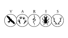 varis